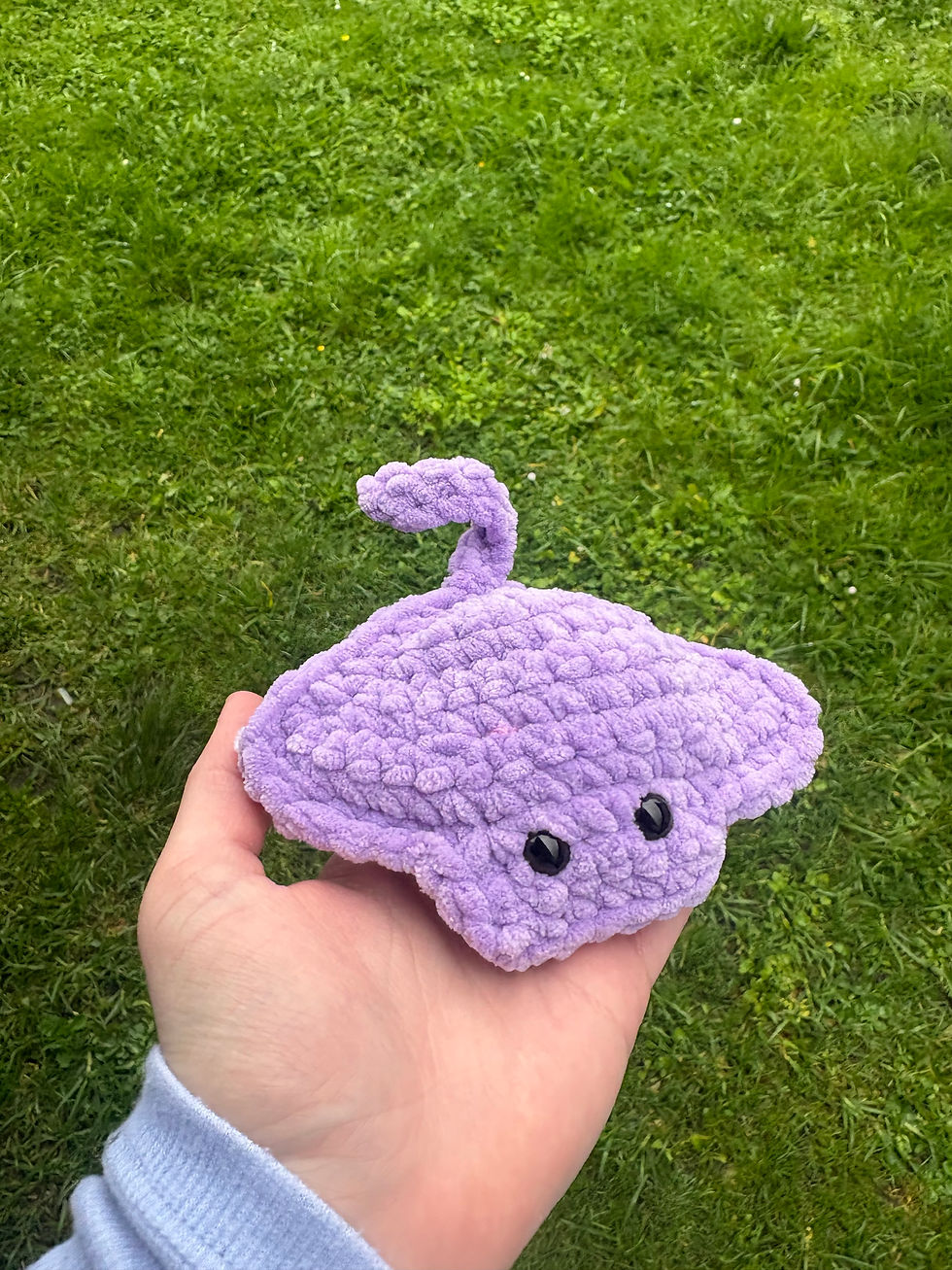 Thumbnail: Stingray Squishy