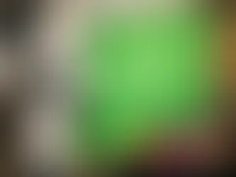 Green Screen Photo Booth Rental That Pops