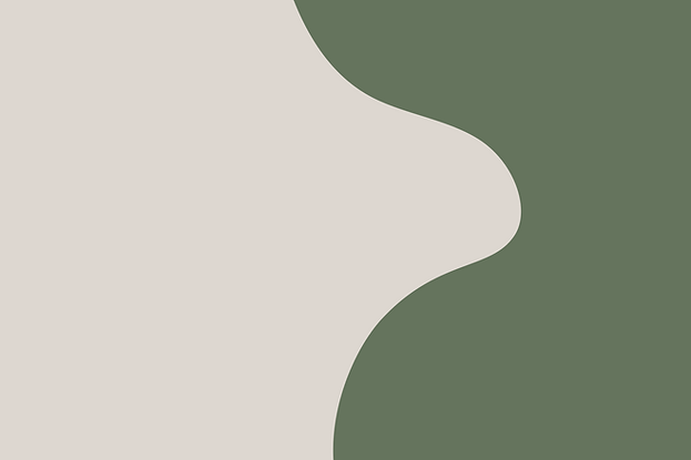 Asset 1_3x.png