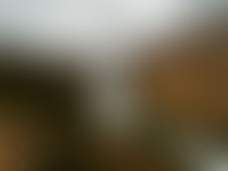 Roadside attractions.