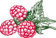 Raspberry 4-296470.png