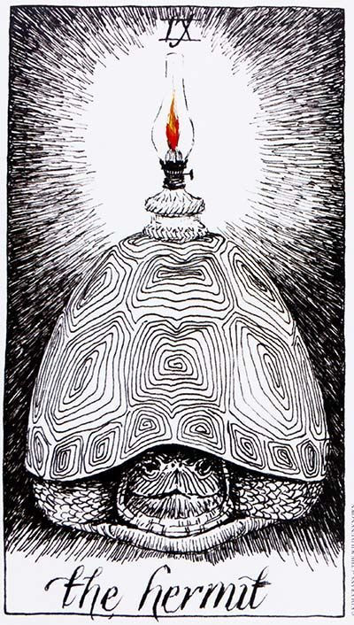 Del tarot The wild unkown, de Kim Krans.