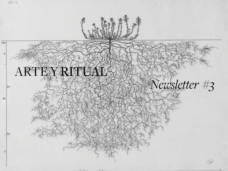 - N e w s l e t t e r   # 3 -