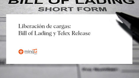 Liberación de cargas: los documentos indispensables para despachar las mercancías