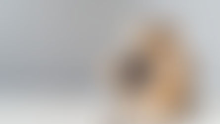 ¿Cuáles son los mejores 5 productos nuevos hechos en China para importar?