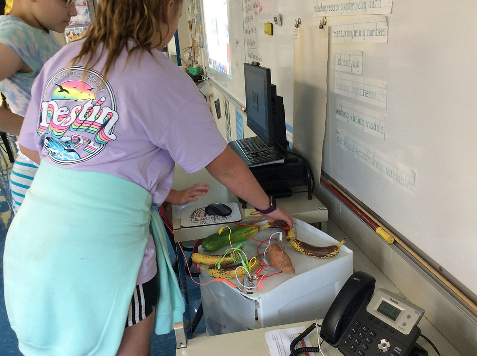 makey makey (19)
