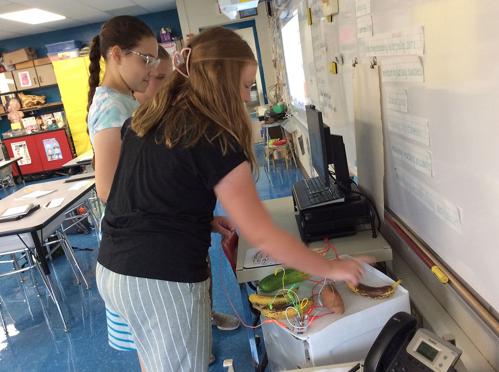 makey makey (17)