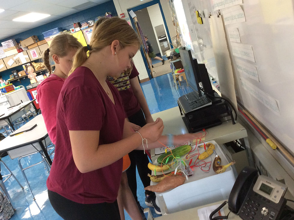 makey makey (3)