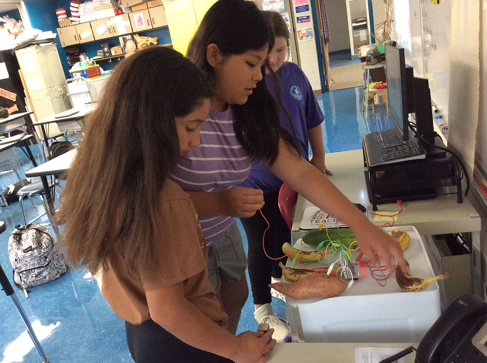 makey makey (7)