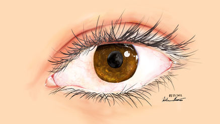 Procreate, Adobe Photoshop