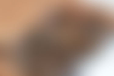 unser B-Wurf erblickte das Licht der Welt