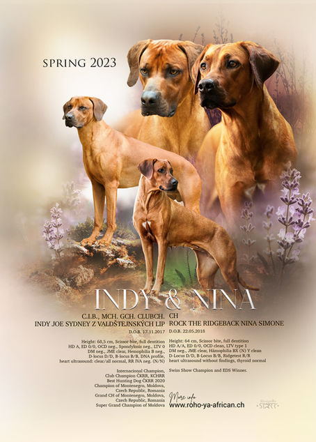 Wurfplanung Frühjahr 2023