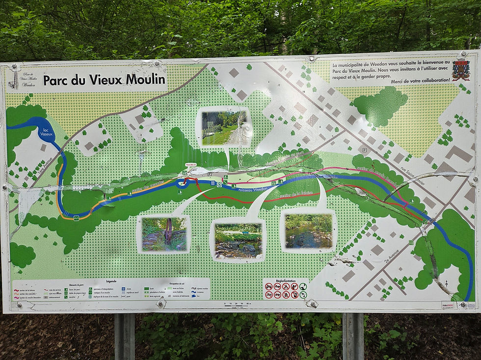 Le trajet d'environ 3 km du parc du vieux moulin loge un cour d'eau magnifique. Vous y verrai le moulin ainsi que de petites cascades dans un cadre enchanteur. Vous pouvez y aller à pied à partir du chalet(15 min)