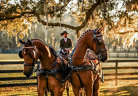 Triangles of Time.jpg