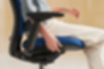 Thumbnail: Series 2 - Seagull