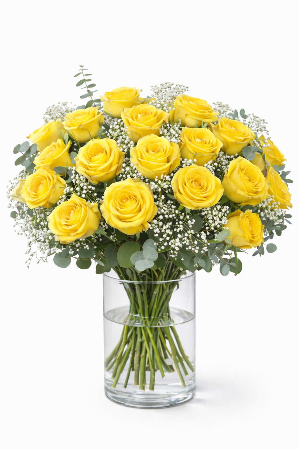 2 Dozen French Yellow