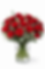 2 Dozen Classic Red Roses