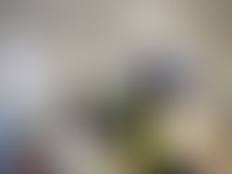 Chantier de réhabilitation du site des CDEI