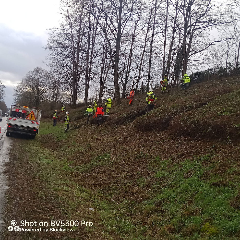 Entretien de bords de routes