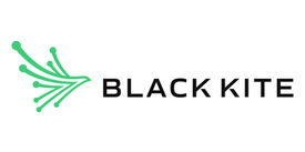 Black Kite