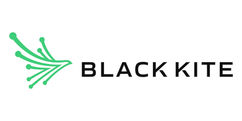 Black Kite