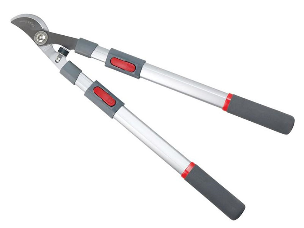 Telescopic Bypass Loppers (Kent & Stowe)