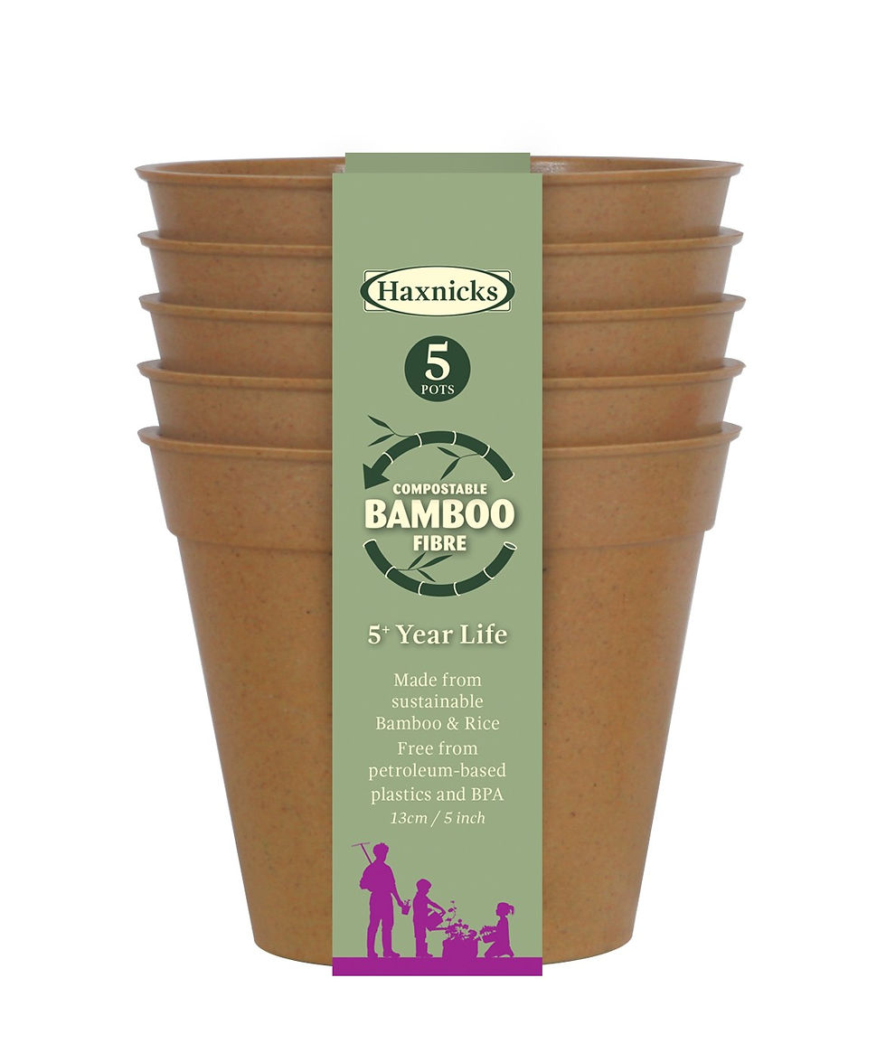 5" Bamboo Pots (Haxnicks)