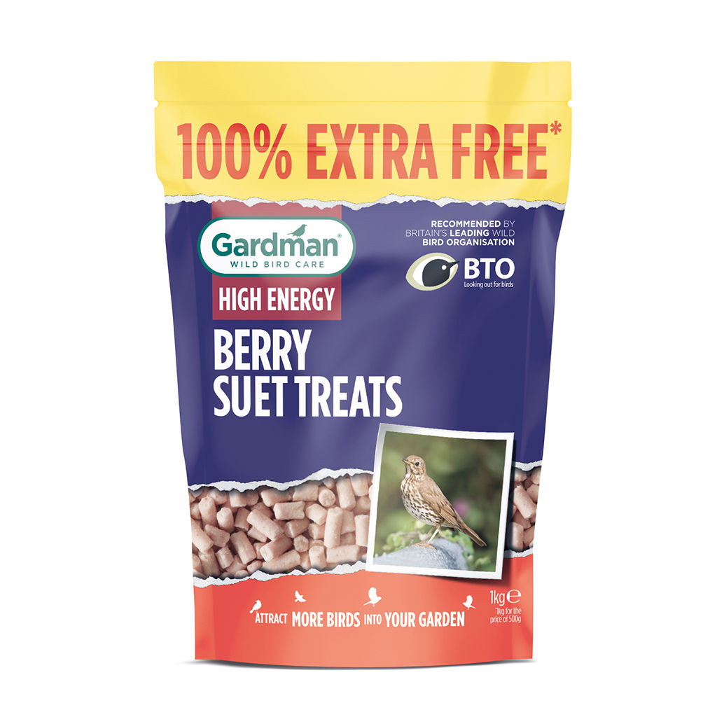Gardman High Energy Berry Suet Treats 1kg