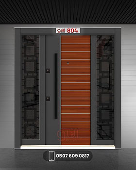 bina giriş kapısı 804
