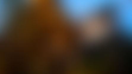 How We Shot Form Space Architecture Corporate Films to Bring House Design to Life