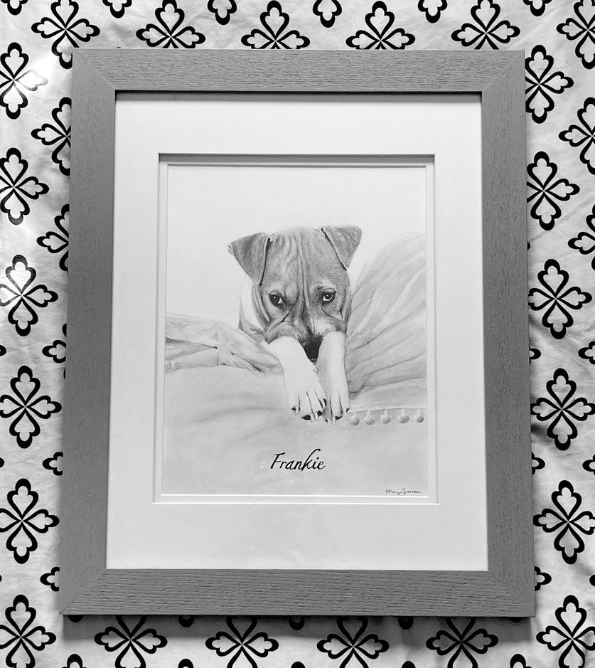 Thumbnail: 8x10" Pet Portrait