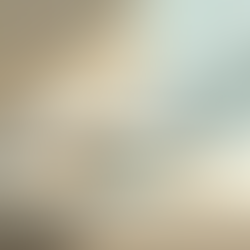 Discover Concorde's Story: Engaging Facts and Links Await