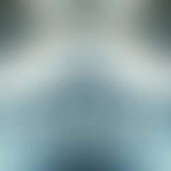 Uncover the History of Concorde at Our Visitor Attraction