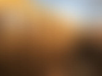 DAY TWENTY-ONE: BUILDING A LEGACY