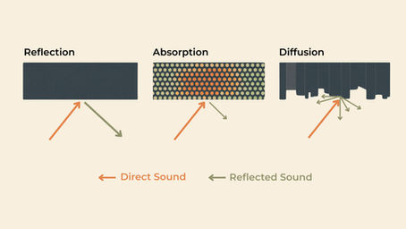 Can plants really fix your office echo?