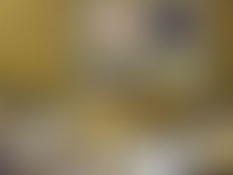 市議会で総括質問を行いました