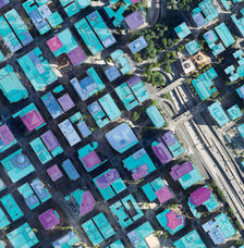 Artificial Intellignece software