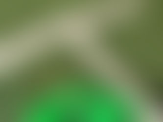 DF set up and tuning help