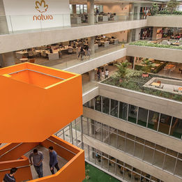 Natura conquista nota A no CDP Mudanças Climáticas 