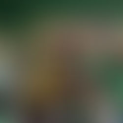 Projeto Avóz dos Tambores abre nova edição de oficinas gratuitas de percussão para pessoas com 60+ no Itapoã