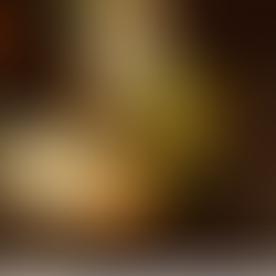 Projetos no Alto Paraná unem restauração da Mata Atlântica, conservação da biodiversidade e geração de renda