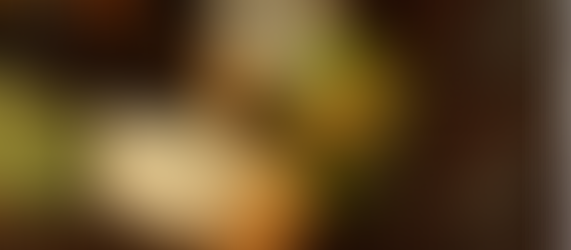 Projetos no Alto Paraná unem restauração da Mata Atlântica, conservação da biodiversidade e geração de renda