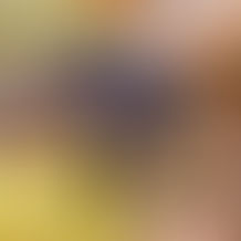 Zoológico de Brasília recebe “Experiência Animal”, exposição imersiva e sensorial inédita