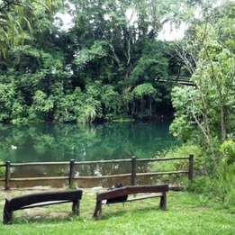 Moradores da Asa Norte realizam evento em frente ao Parque Olhos D'Água em defesa das nascentes do DF