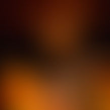 Edição 2026 destaca diversidade artística e amplia acesso à cultura para estudantes, jovens e adultos com programação gratuita e aberta à comunidade