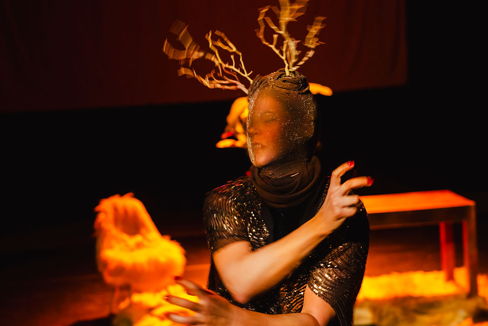 Projeto ocupa bibliotecas públicas de Sobradinho, Plano Piloto e Brazlândia com espetáculos, música e literatura, num encontro entre arte, educação e cidadania/ Crédito: Diego Bresani