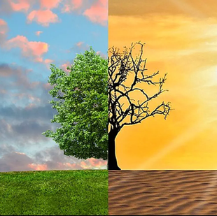 Conscientização sobre as Mudanças Climáticas deve estar alinhada com vontade política e destinação de recursos