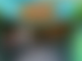 Zoológico de Brasília lança programação de férias com educação ambiental