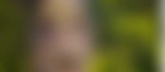 A economia criativa da floresta ganha escala nacional