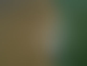 Greenpeace Brasil se manifesta sobre vazamento de fluido em plataforma da Petrobras